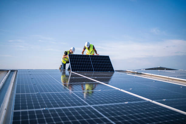 Best Roof Coating and Sealing  in Fennville, MI