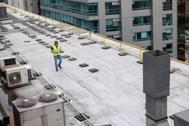 Best Storm Damage Roof Repair  in Fennville, MI