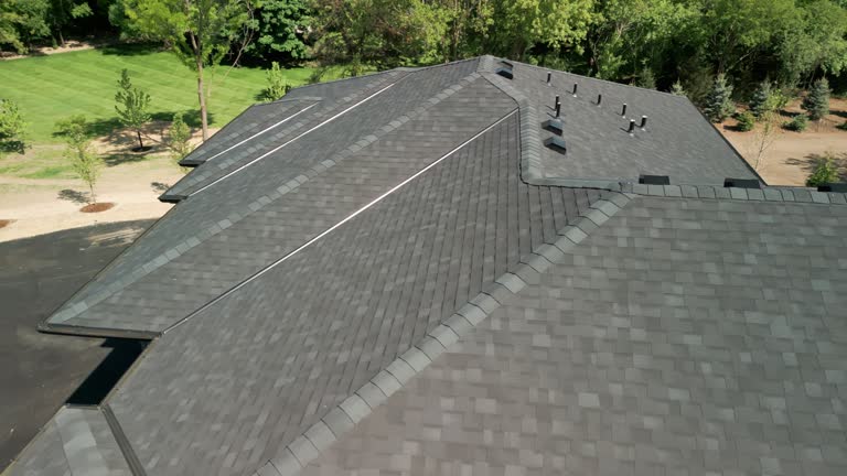 Best Roof Moss and Algae Removal  in Fennville, MI
