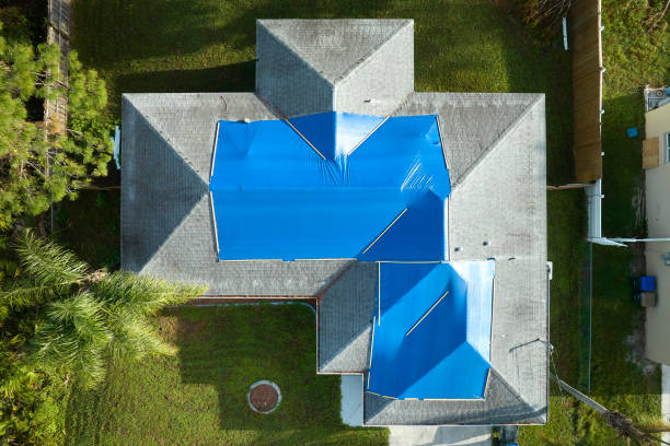Best Roof Installation  in Fennville, MI
