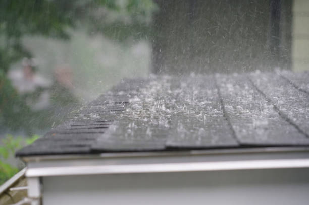 Best Roof Installation  in Fennville, MI